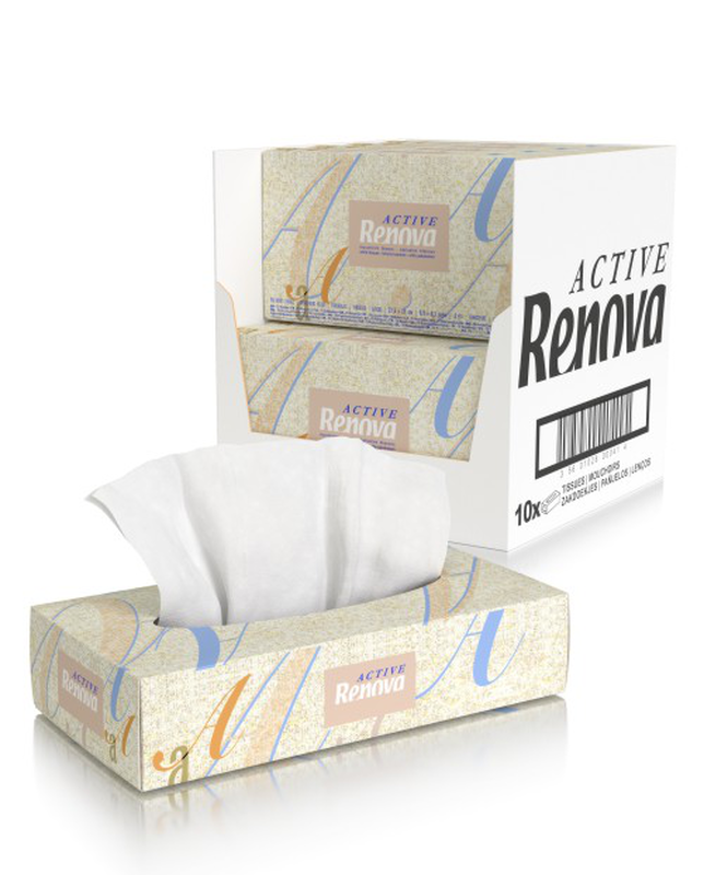 Pañuelos de papel decorado 10un -Ref.N4357
